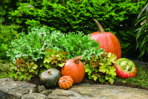 Bast Brothers Garden Center