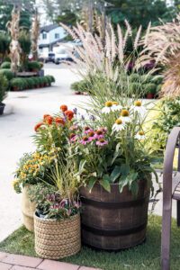 Bast Brothers Garden Center