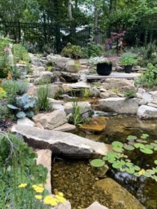 Black Koi Water Features and Ponds