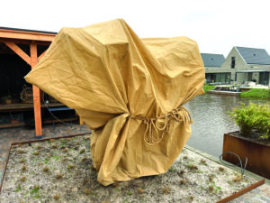 Gullo's Garden Center burlap wrap