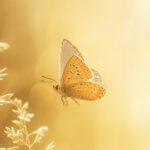 Finding Yourself Again: Reclaim Your Purpose