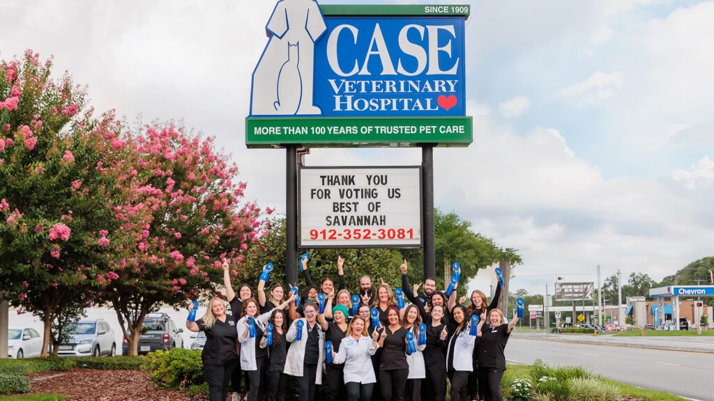 Case Veterinary Hospital Team