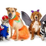 Keep the EEEK (and ER) Out of Halloween