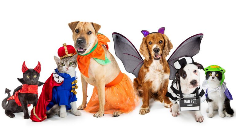 Keep the EEEK (and ER) Out of Halloween