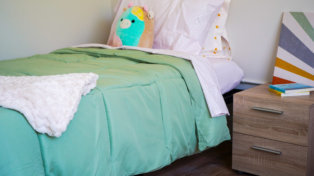 Children's Room 2 Synergy Services Program Services