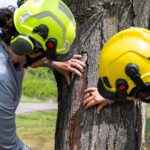 What Makes a Tree Hazardous?