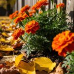 Don’t Clean Up Your Yard Just Yet!