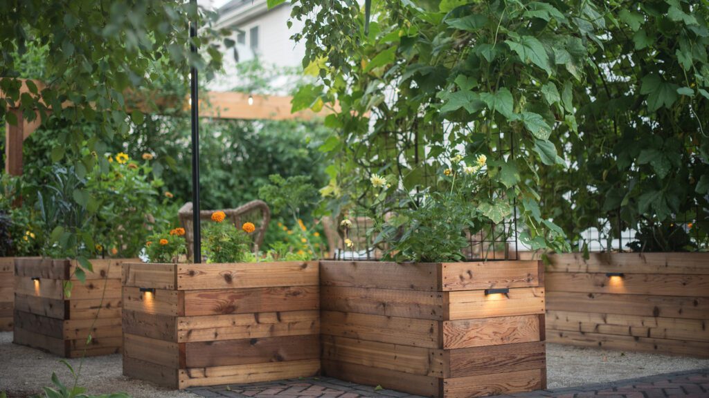 Fenced in plants garden Homegrown Gardens