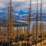 Finding Your Home in Autumn: Strategy and Opportunity in Today’s Market