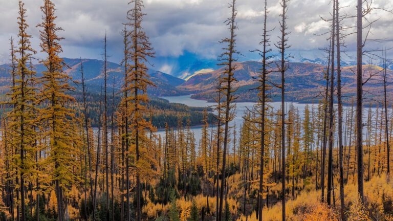 Finding Your Home in Autumn: Strategy and Opportunity in Today’s Market