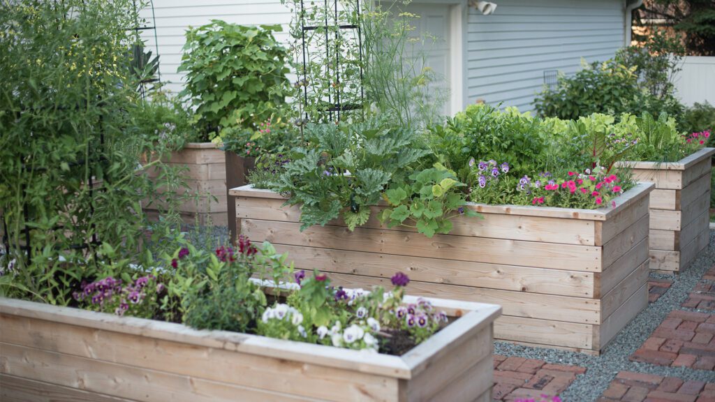Outsmarting the Bunnies: Humane Ways to Protect Your Vegetable Garden