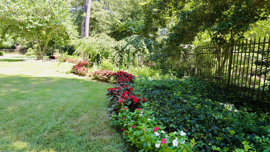 Flowers in yard Fore Properties