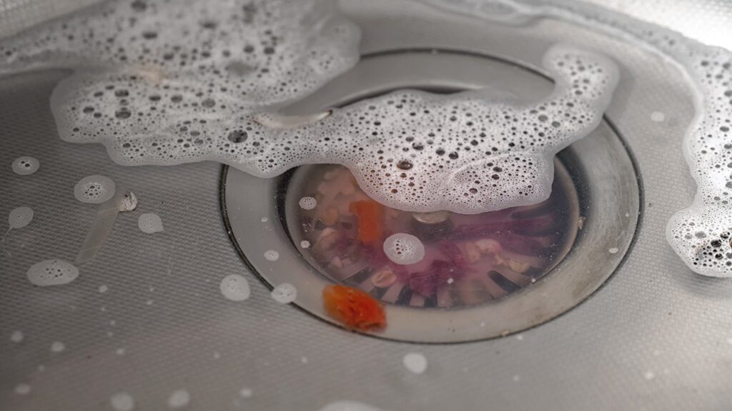 What Should Never Go Down Your Drain … and Why