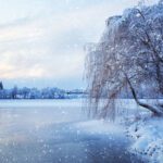 5 Ways to Protect Your Shoreline and Landscape This Winter