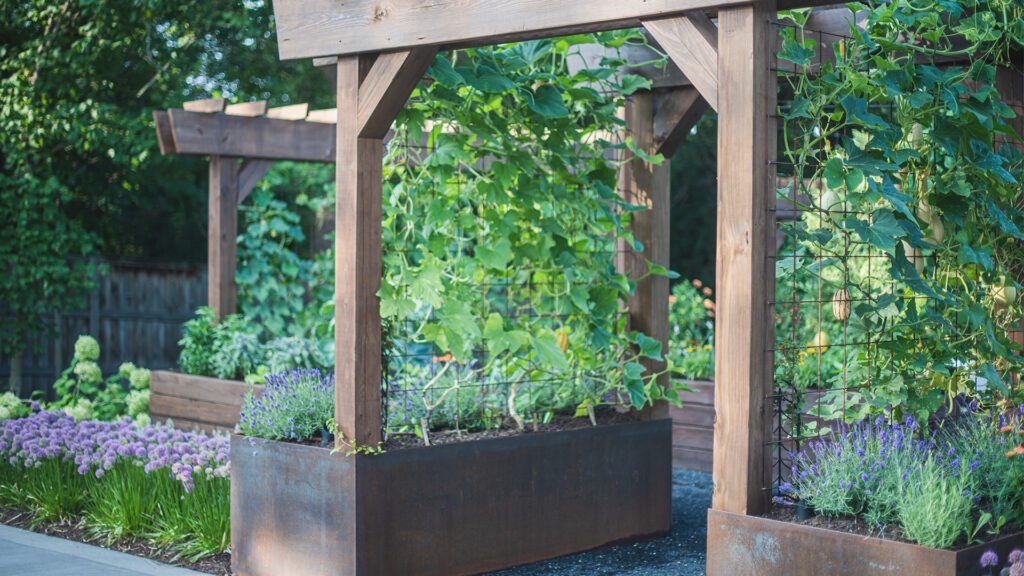 Garden entrance Homegrown Gardens