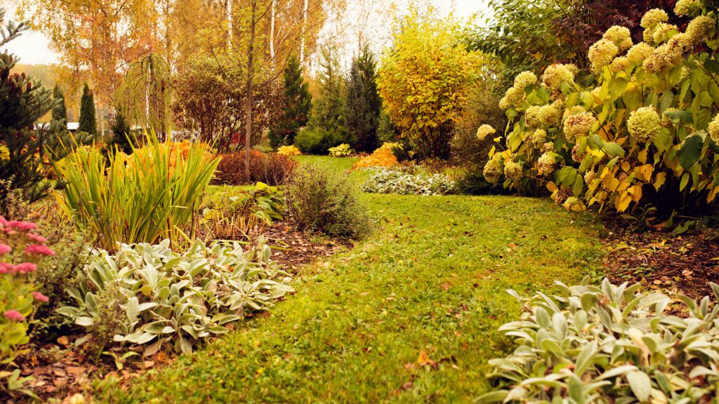Making the Most of Your Fall Garden