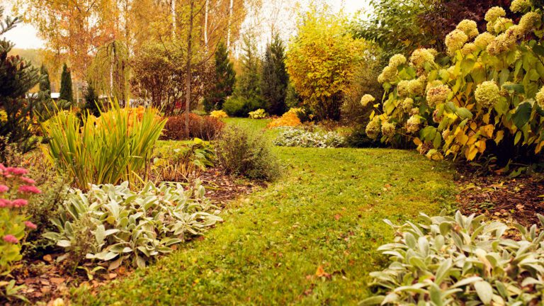 Making the Most of Your Fall Garden