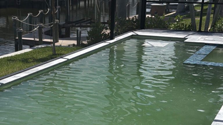 Why Did My Pool Turn Green? What Florida Homeowners Should Know