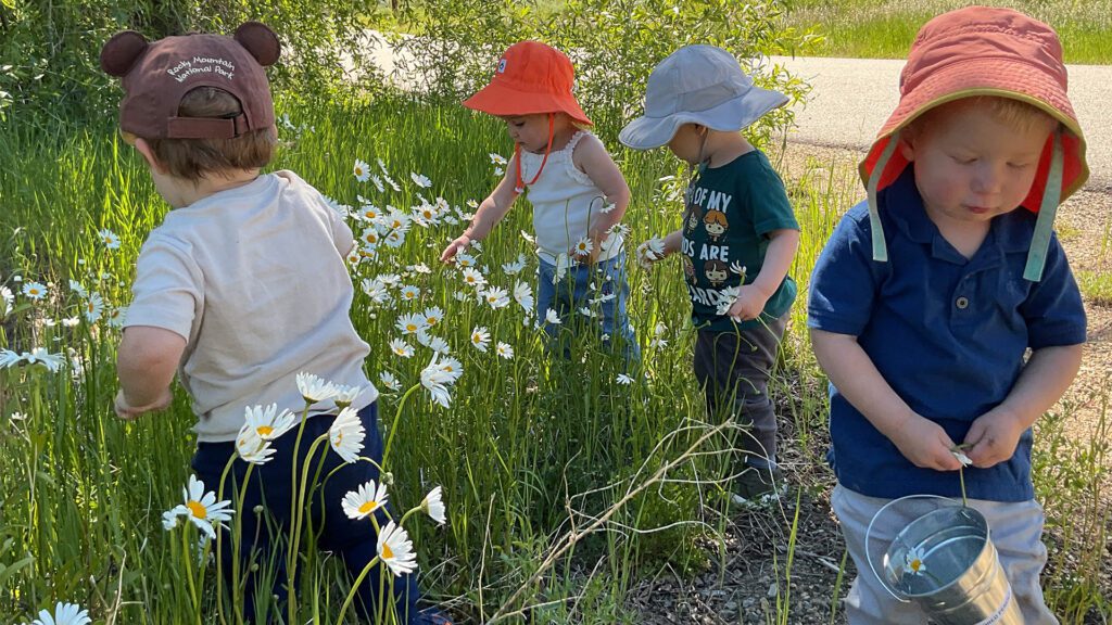 Kids picking flowers North Routt Community Charter School