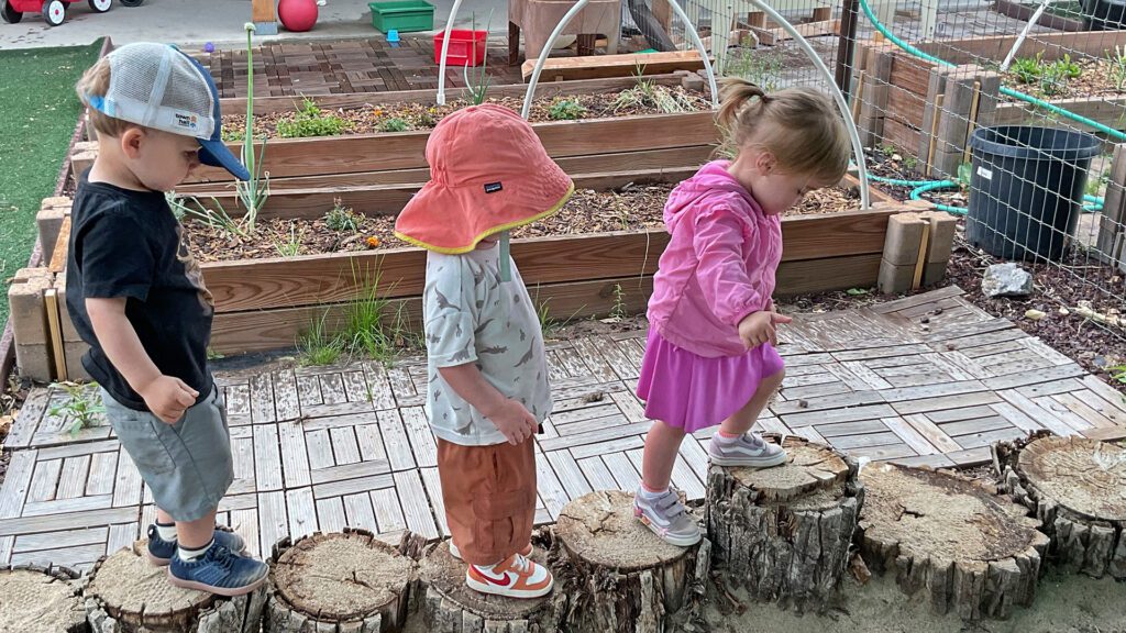 Kids walking on stumps North Routt Community Charter School