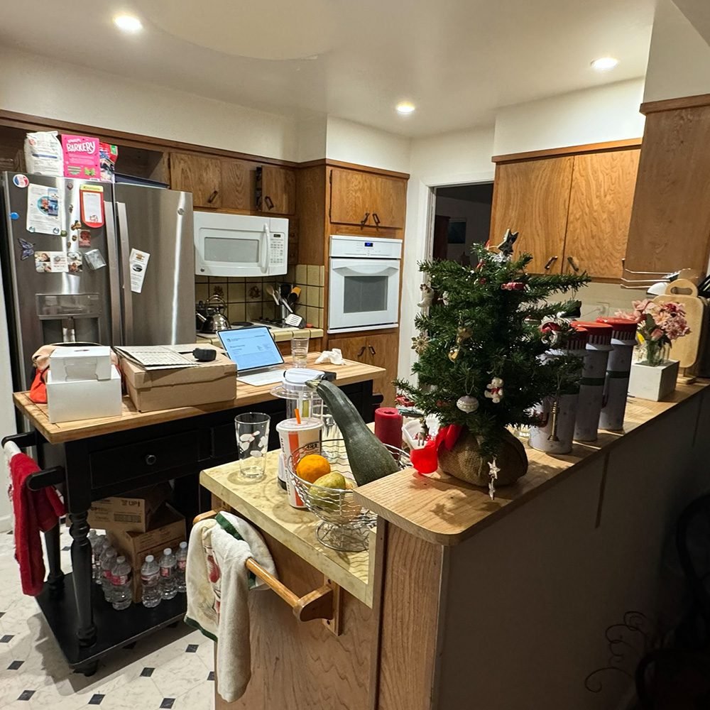 Kitchen before remodel MoonDance Painting
