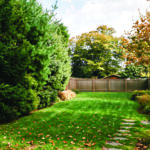 Fall’s Here: Time for Tree Planting and Inspecting