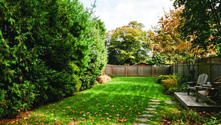Fall’s Here: Time for Tree Planting and Inspecting