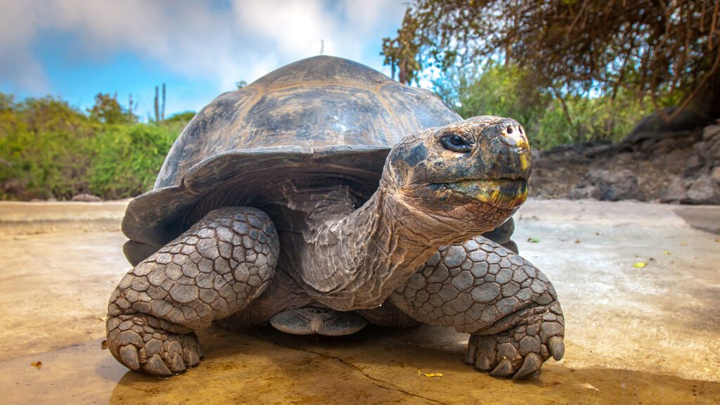 Part 2: Visiting the Galapagos Islands — a Truly Amazing Experience