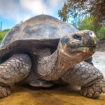 Part 2: Visiting the Galapagos Islands — a Truly Amazing Experience