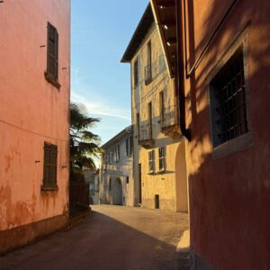 Late Afternoon, Miasino, Italy, 2025 Eagle House Botanicals
