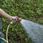 Winter Protection for Your Landscape