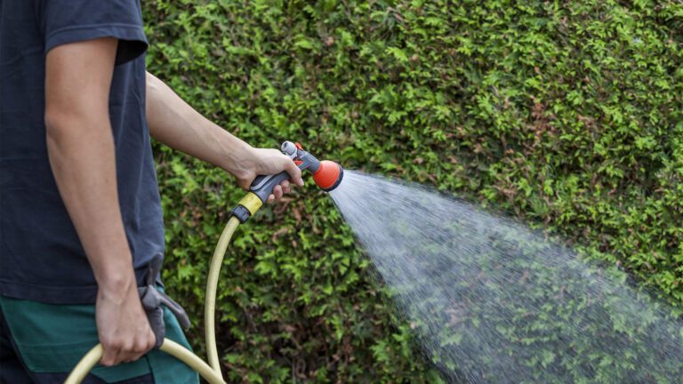 Winter Protection for Your Landscape