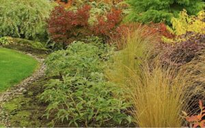 NeatScape Landscaping LLC foliage
