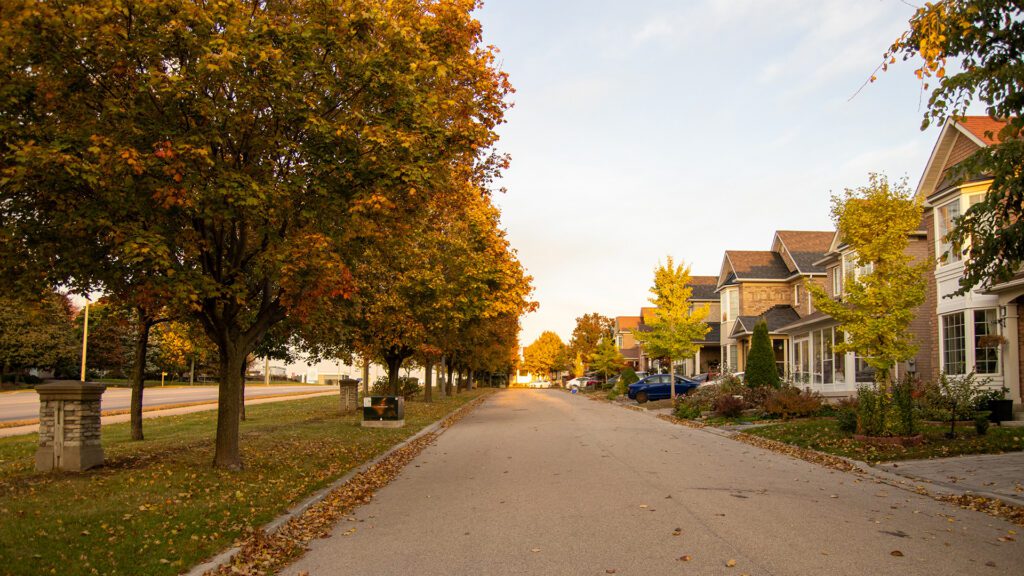 As the Seasons Change: Smart Real Estate Tips for Bastrop
