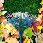 Roots Before Winter: Why Fall Is Your Lawn’s Most Important Season