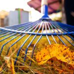 From Bleachers to Leaf Piles: Why Fall Can Leave the Body Feeling Stiff 