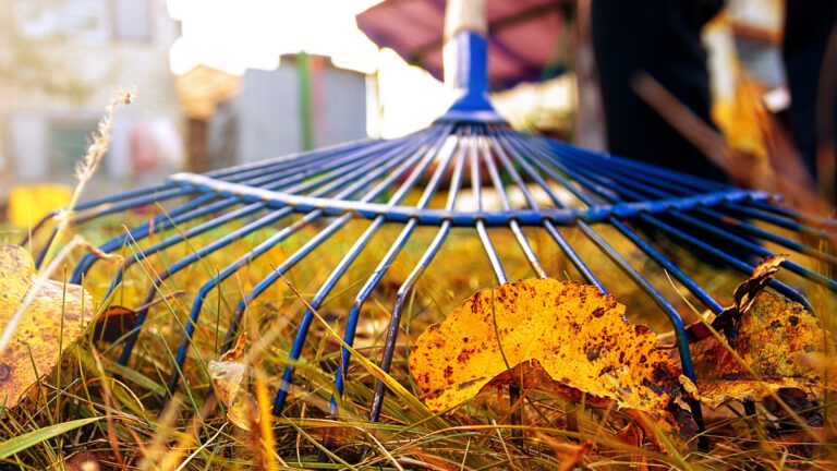 From Bleachers to Leaf Piles: Why Fall Can Leave the Body Feeling Stiff 