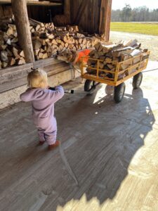 Red Pine Tree & Landscape Services Inc. child pushing firewood