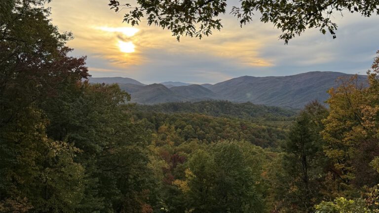 Autumn Adventures in the Smokies: Gatlinburg and Pigeon Forge’s Golden Season