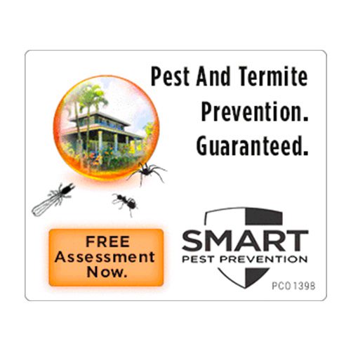Smart Pest Prevention Logo After Splashpaint Creative
