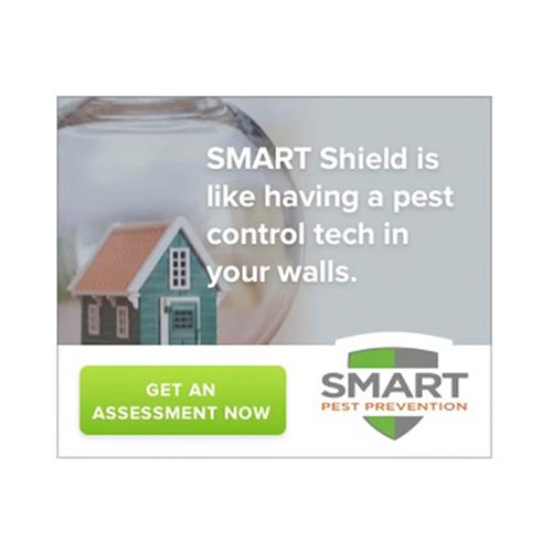 Smart Pest Prevention Logo Before Splashpaint Creative