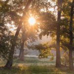 Gratitude and Its Power to Rewire the Brain