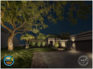 The Lighting Lizards night house
