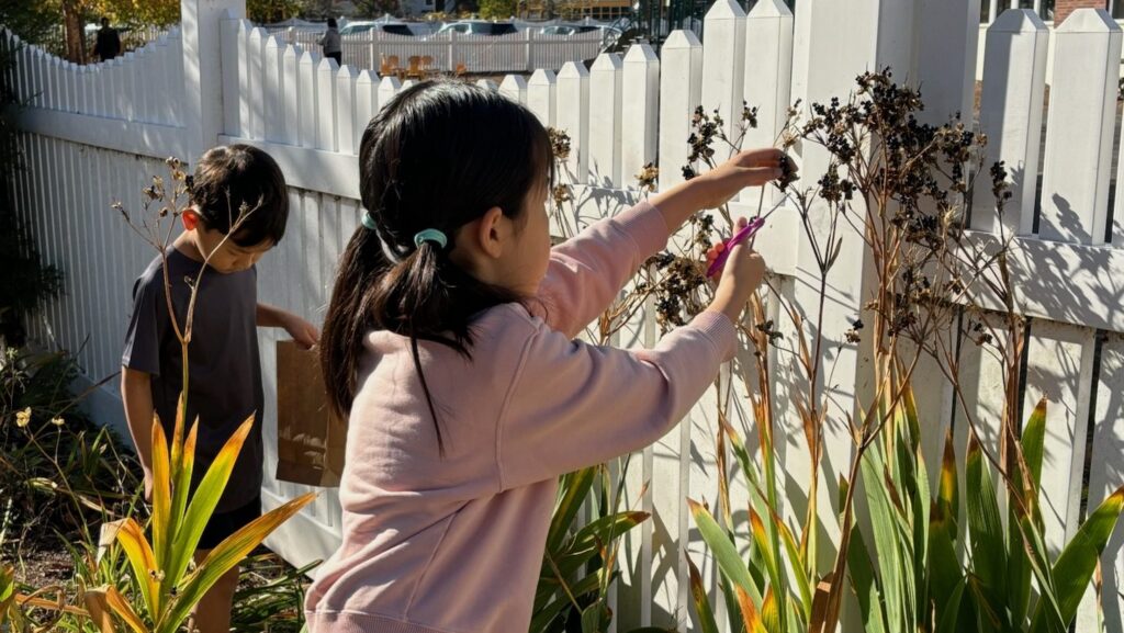 The Montessori Nature’s Classroom
