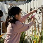 The Montessori Nature’s Classroom
