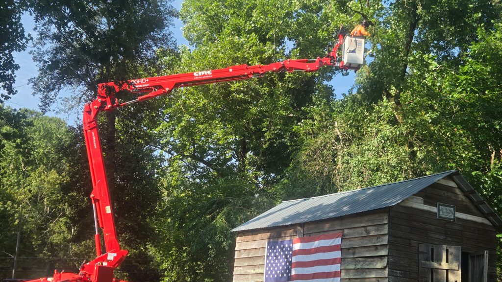 Tree pruning Mountain Woods Services LLC