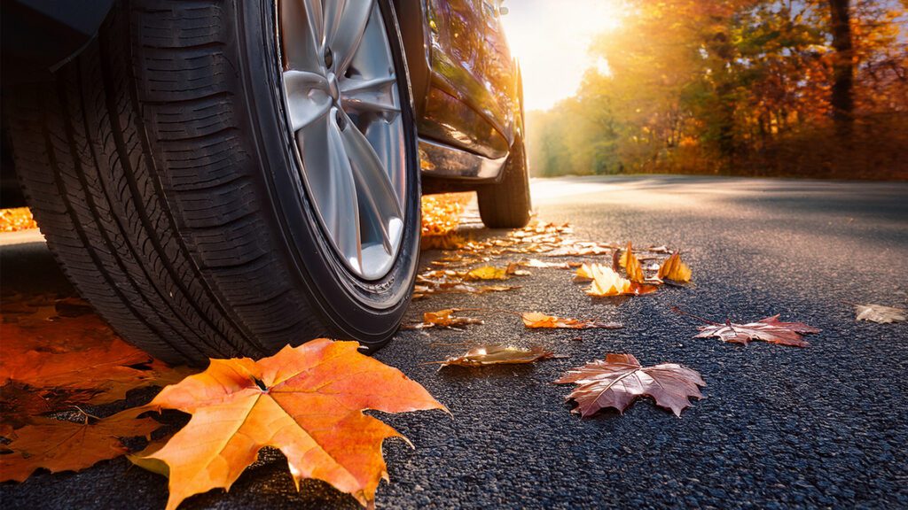All-Season vs. All-Weather Tires: What’s the Difference?