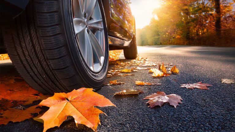 All-Season vs. All-Weather Tires: What’s the Difference?