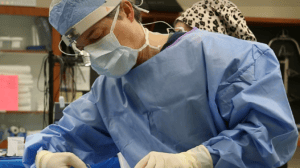 W Facial Aesthetics dr. wayne operating