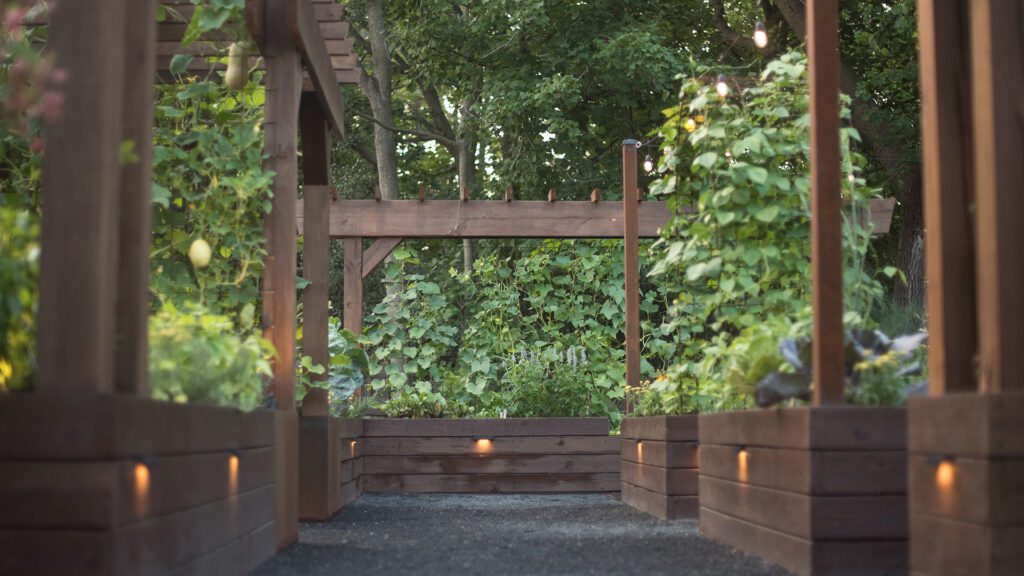 Walkway through garden Homegrown Gardens